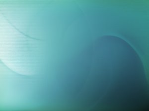 企业文化能力模型：你需要具备哪些技能